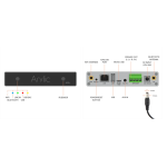 Arylic A30+ 